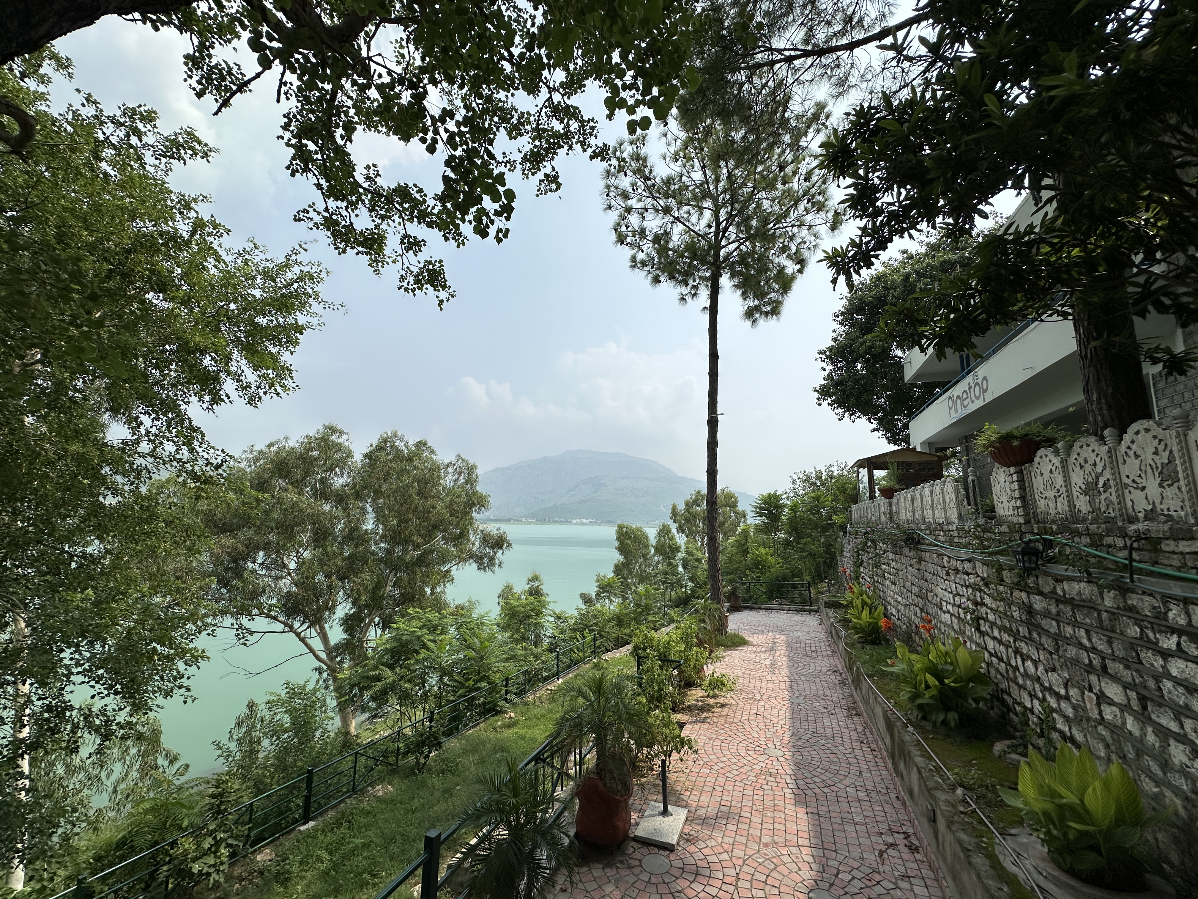 Pinetop resort greenery