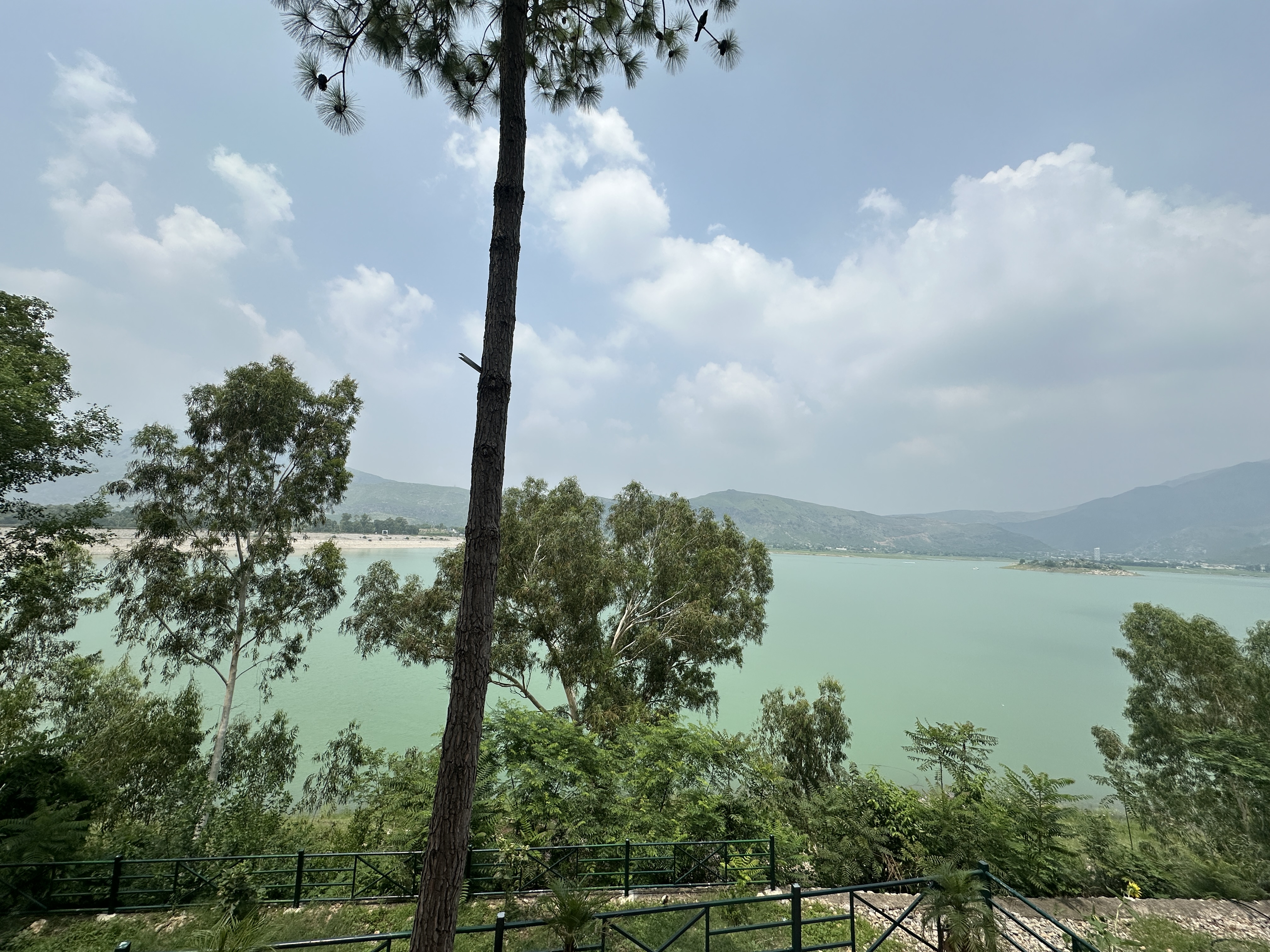 Pinetop morning scene