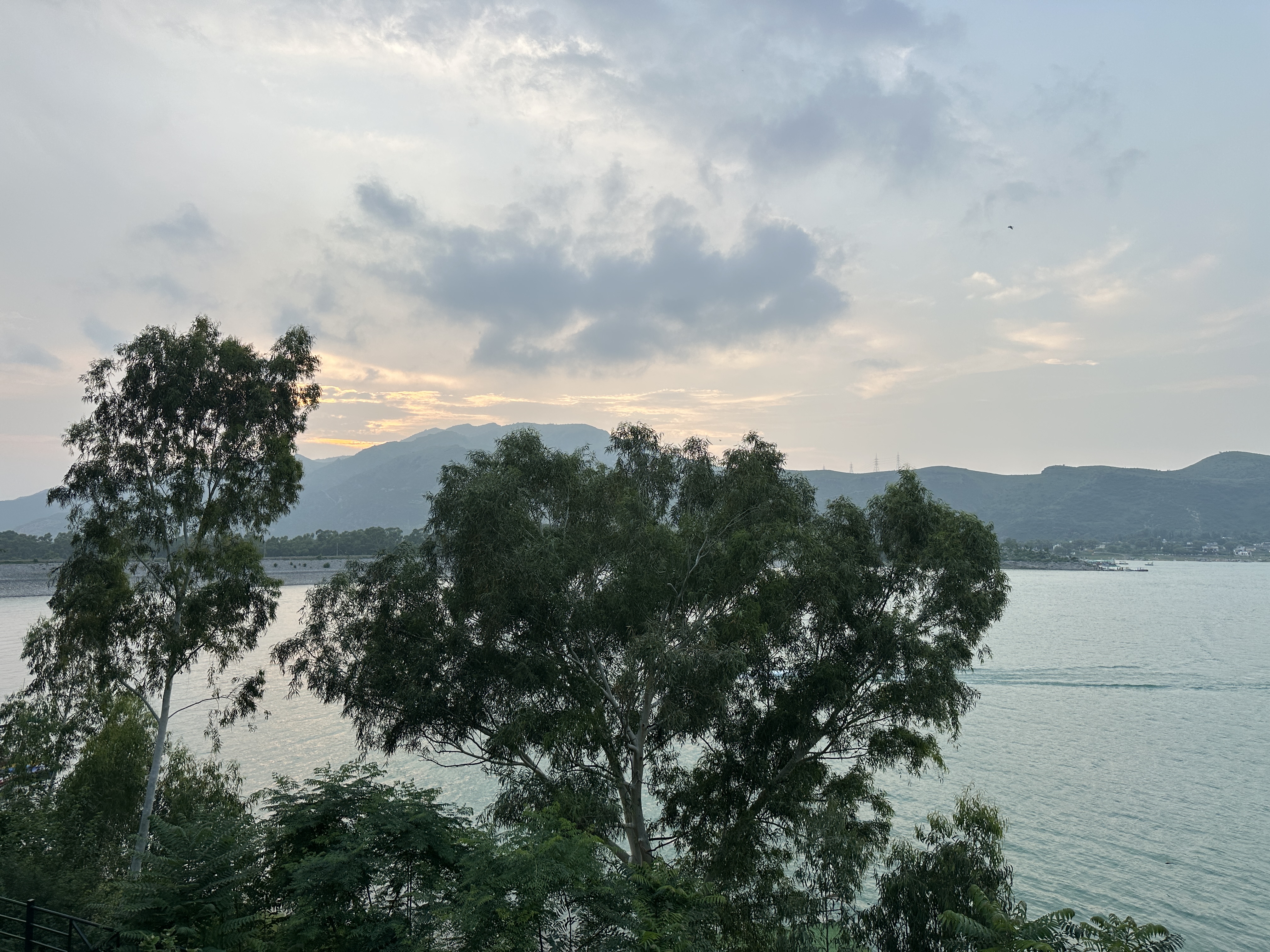 Pinetop scenic frame