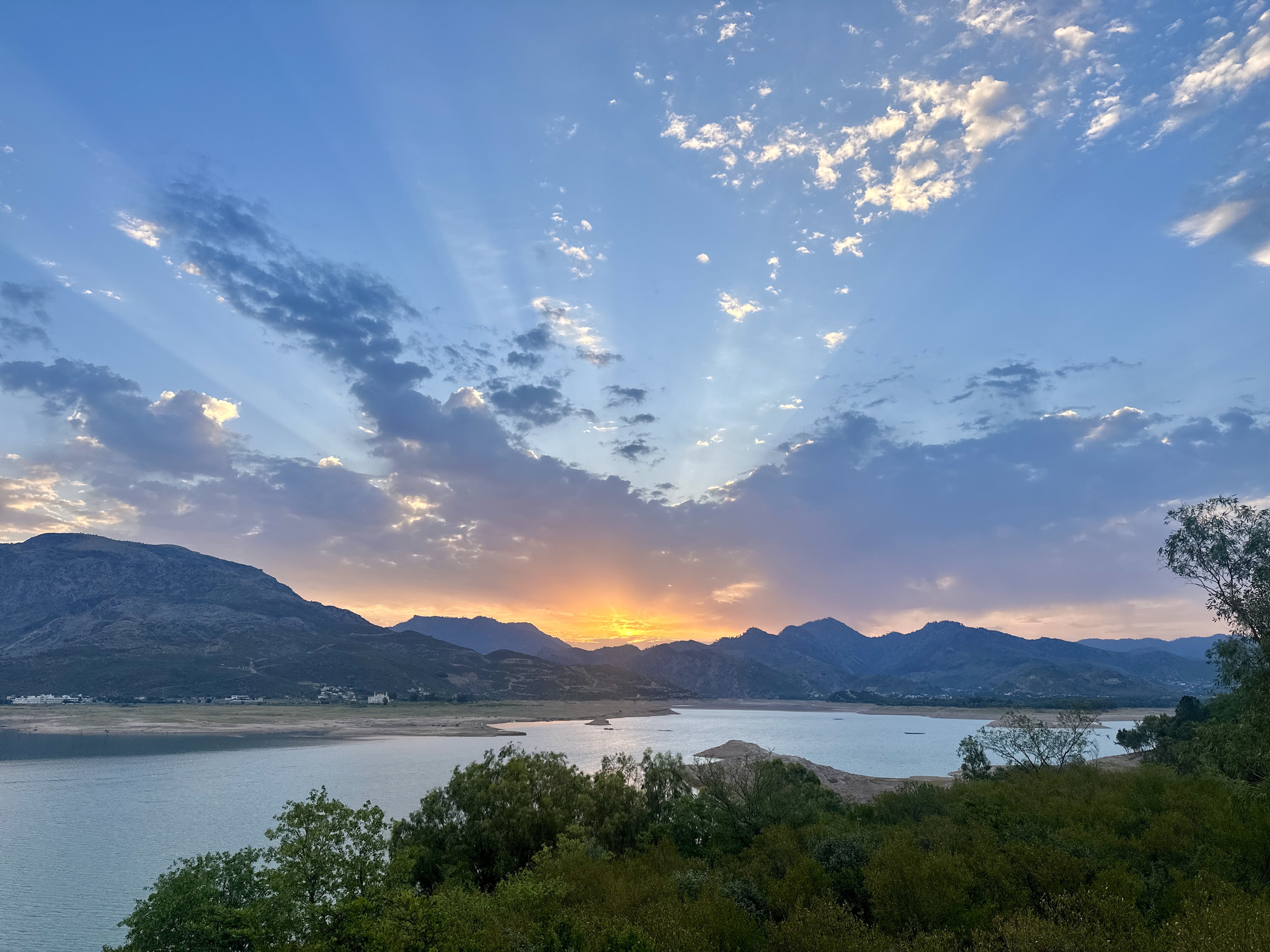 Pinetop open landscape view