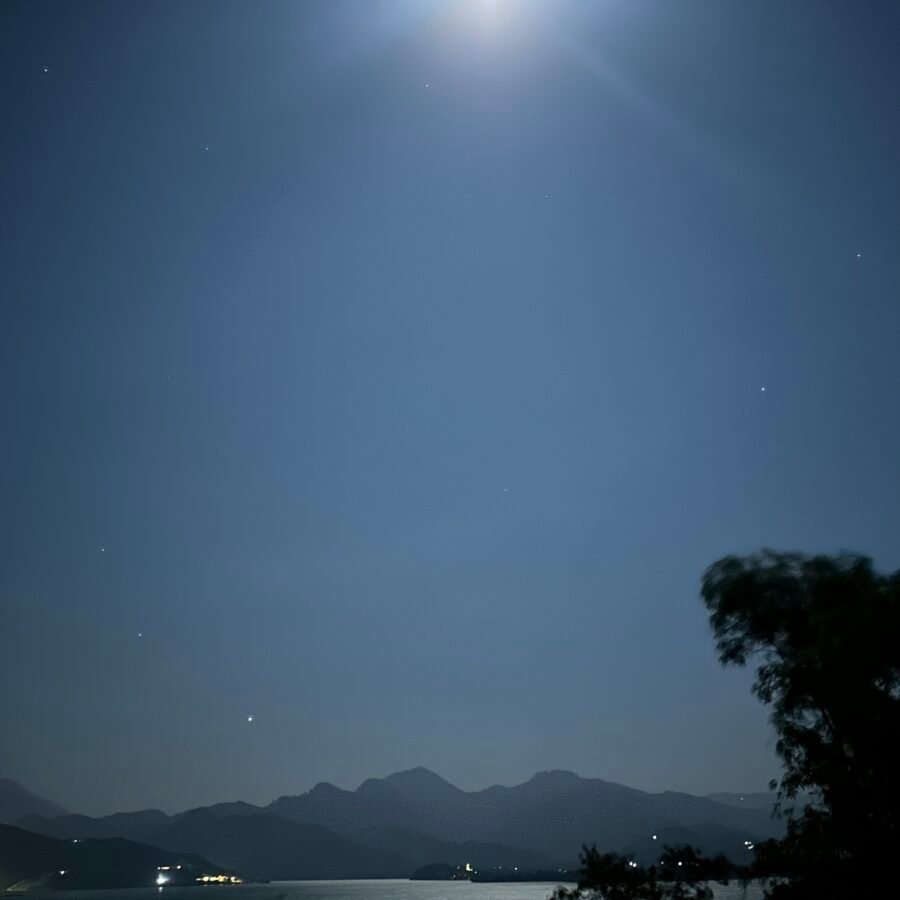 Moonlight Night
