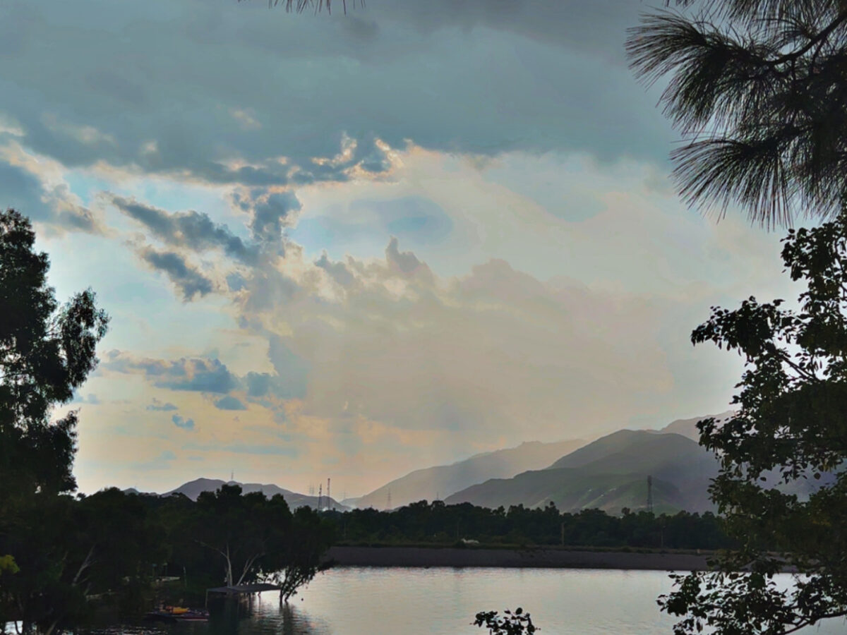 Where Nature Meets Comfort