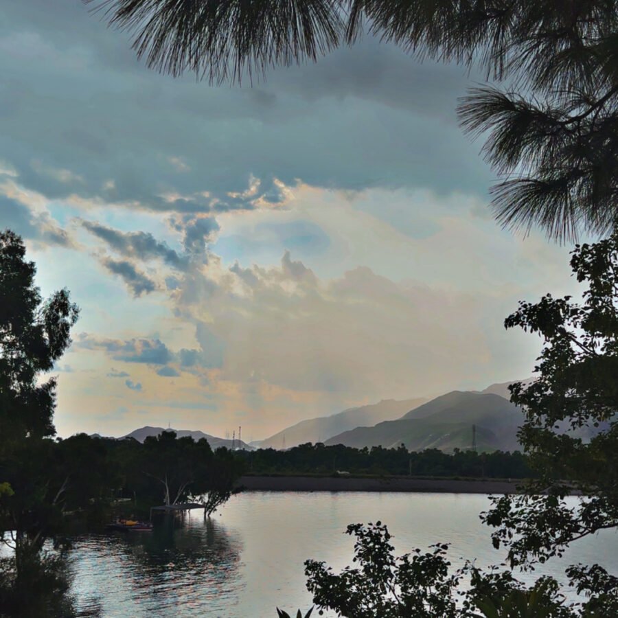 Where Nature Meets Comfort